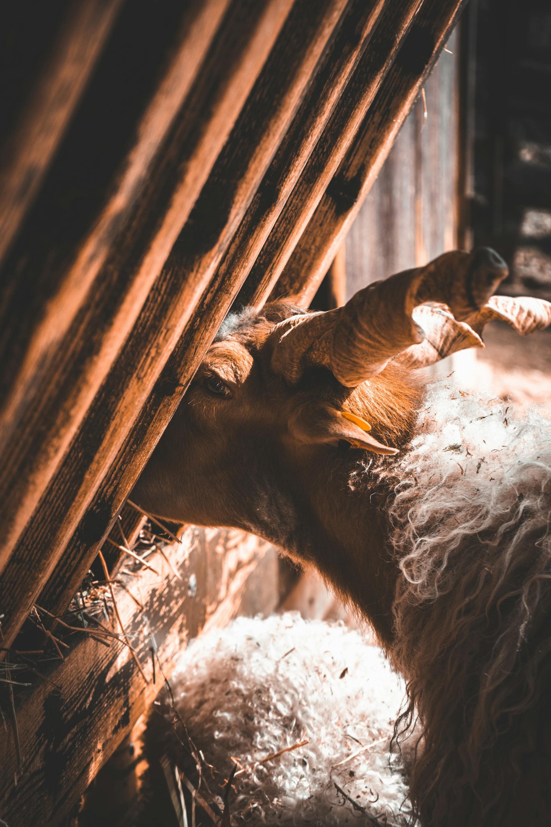 Vacancy image FARM WORKER