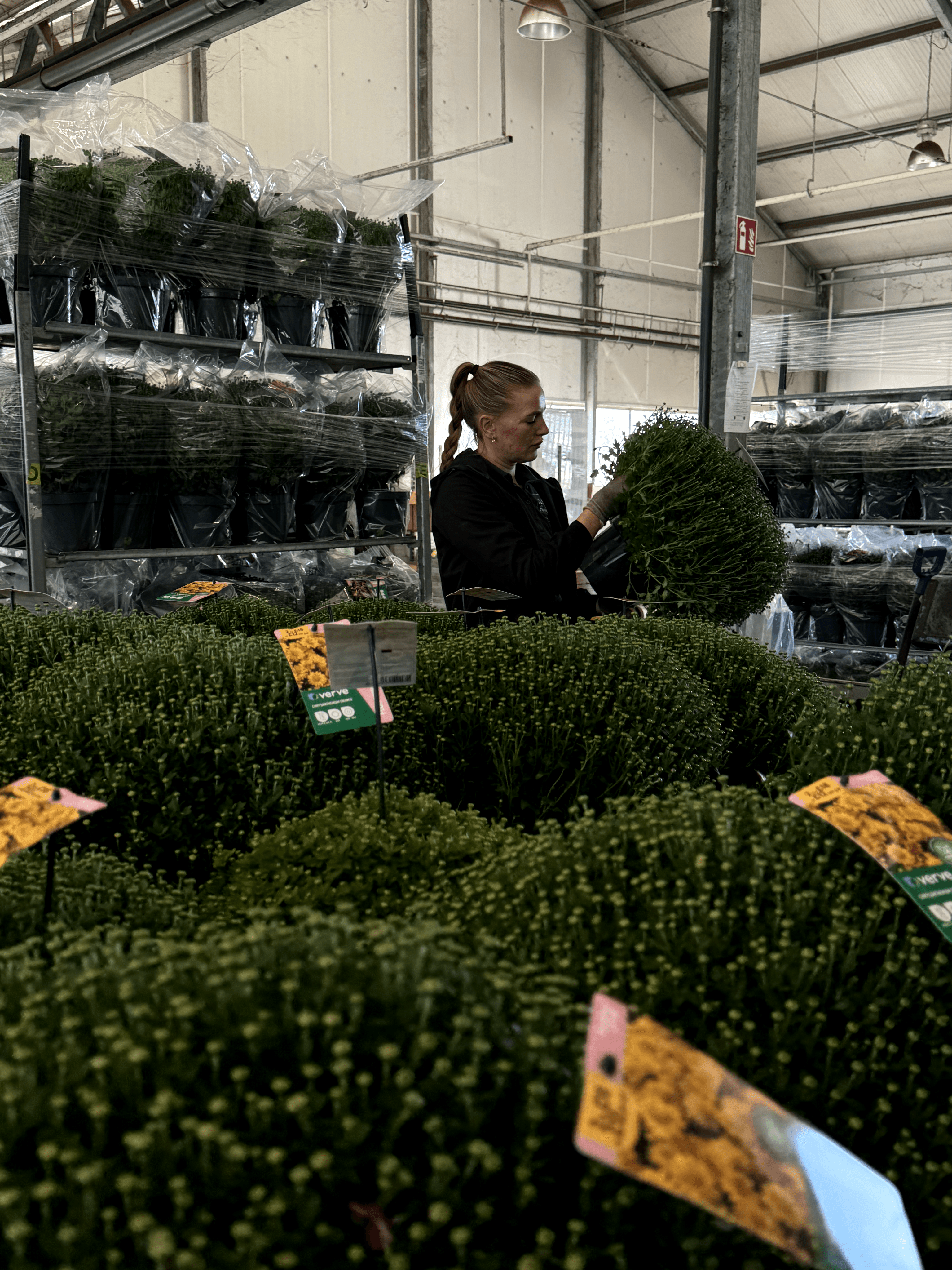 About company image 1