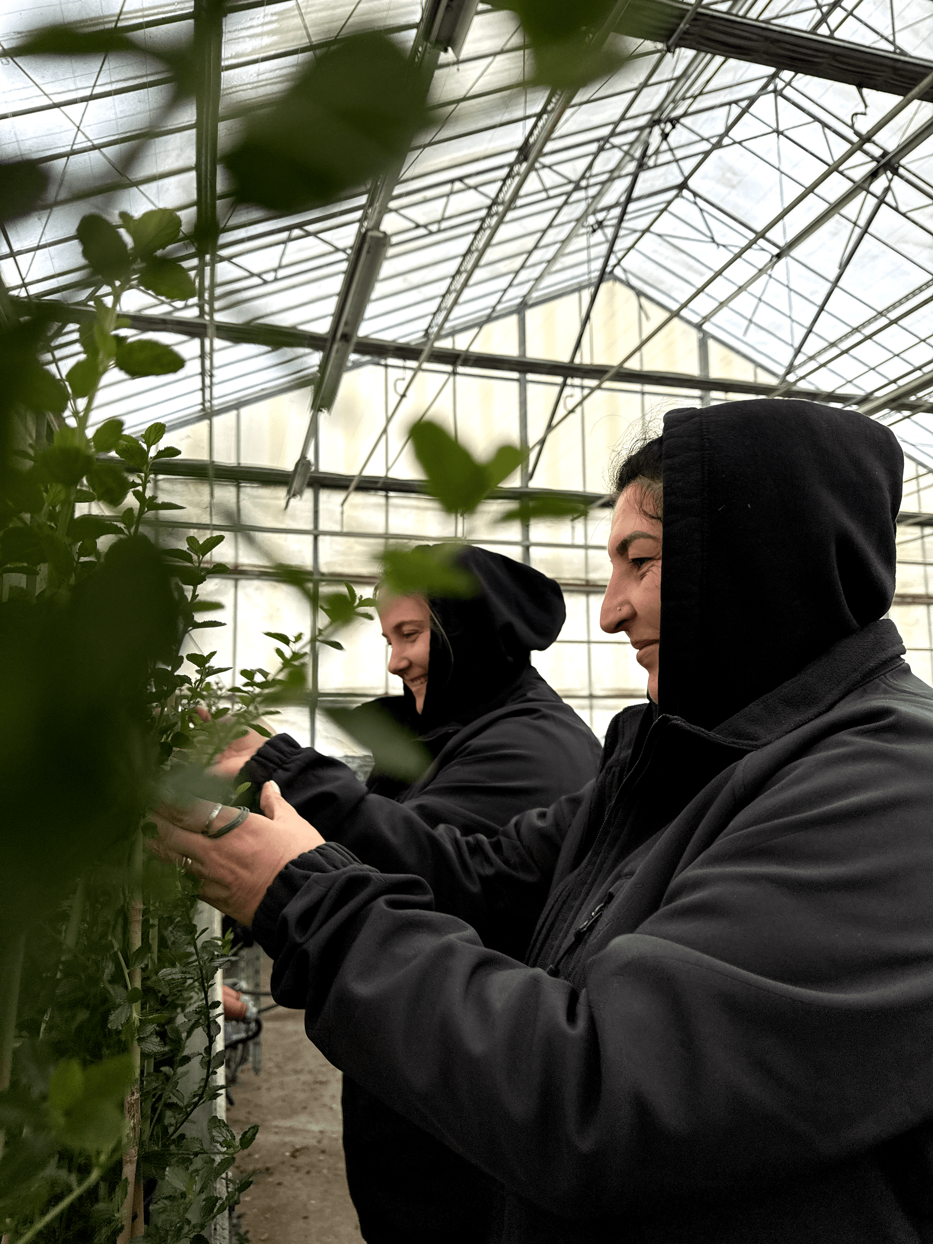 Employee search process image